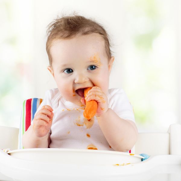 Baby eating a carrot.